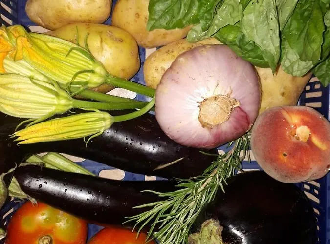 Ca Rossi House Apartmán *