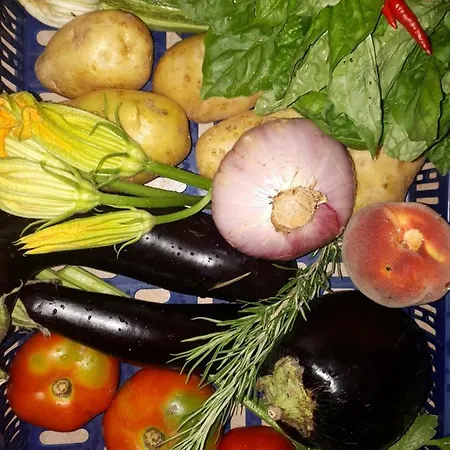 Ca Rossi House Διαμέρισμα *